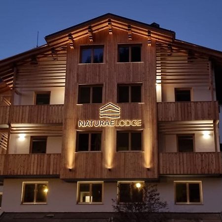 Naturae Lodge Wellness & Spa Alleghe Extérieur photo